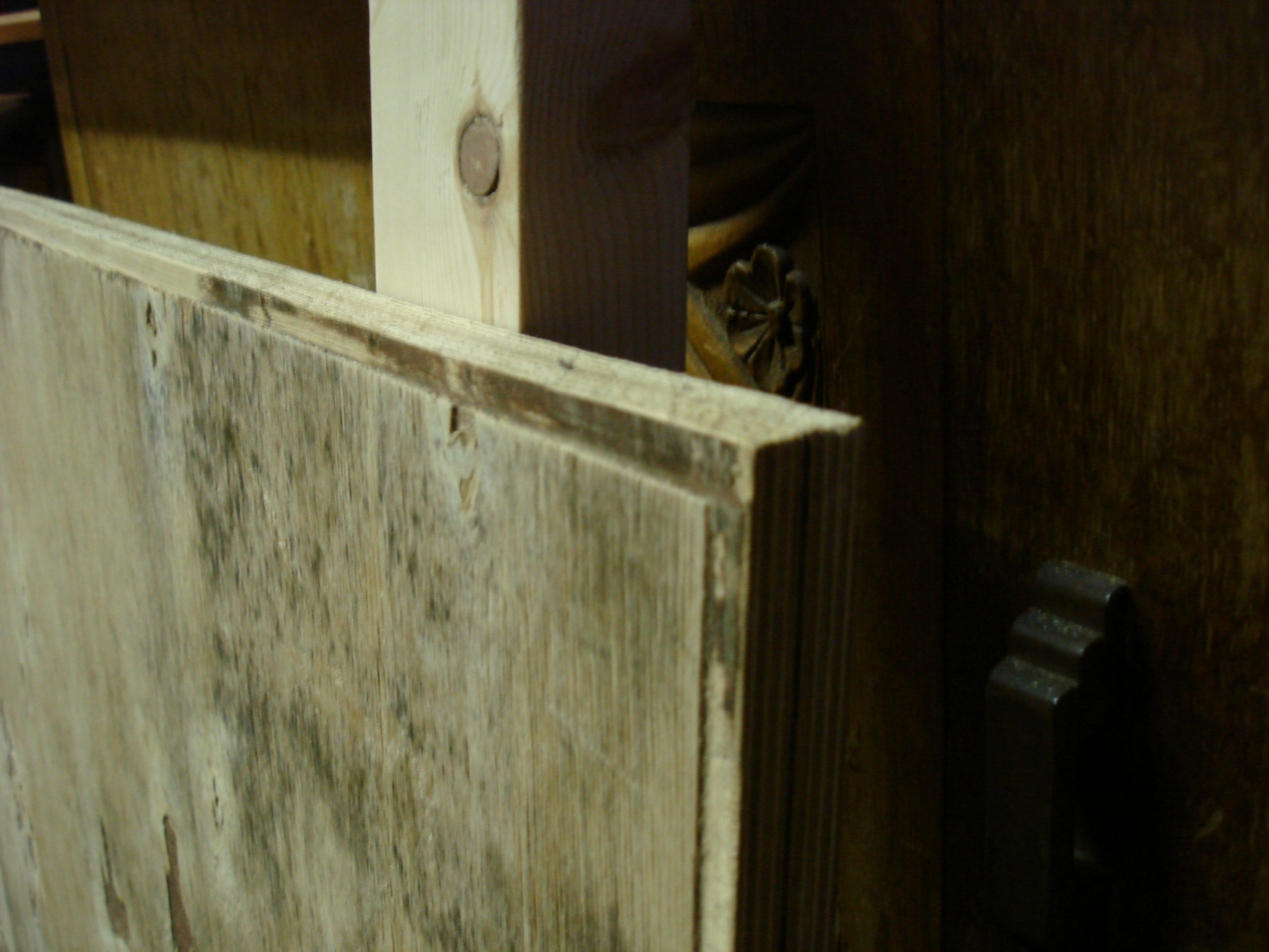 Progress: Shop Back Door