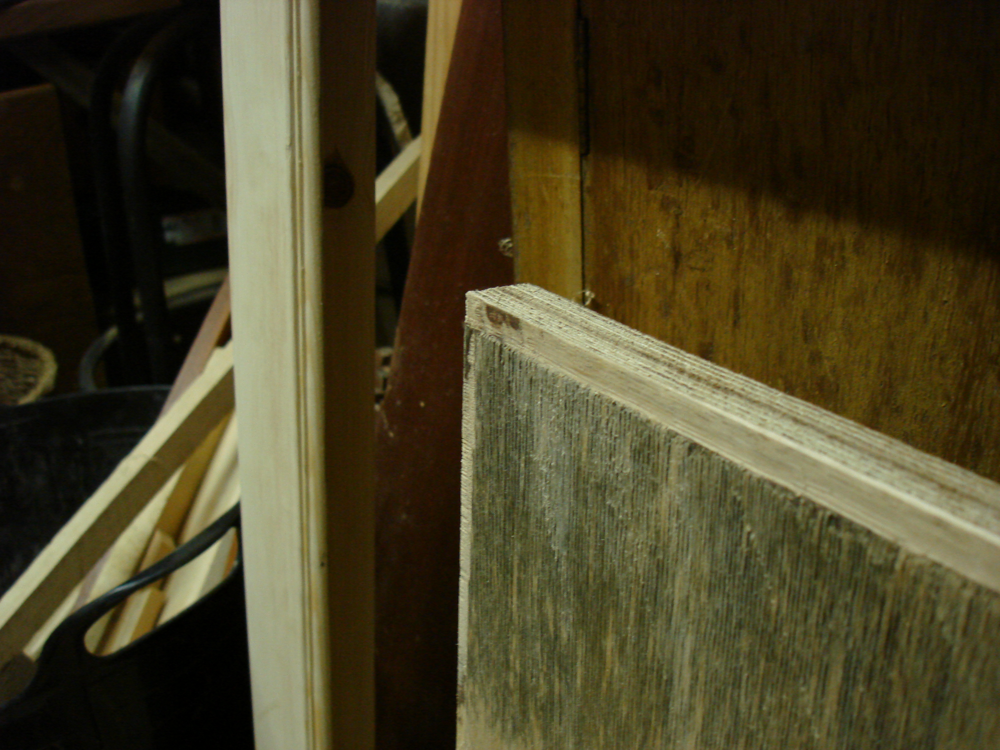 Progress: Shop Back Door