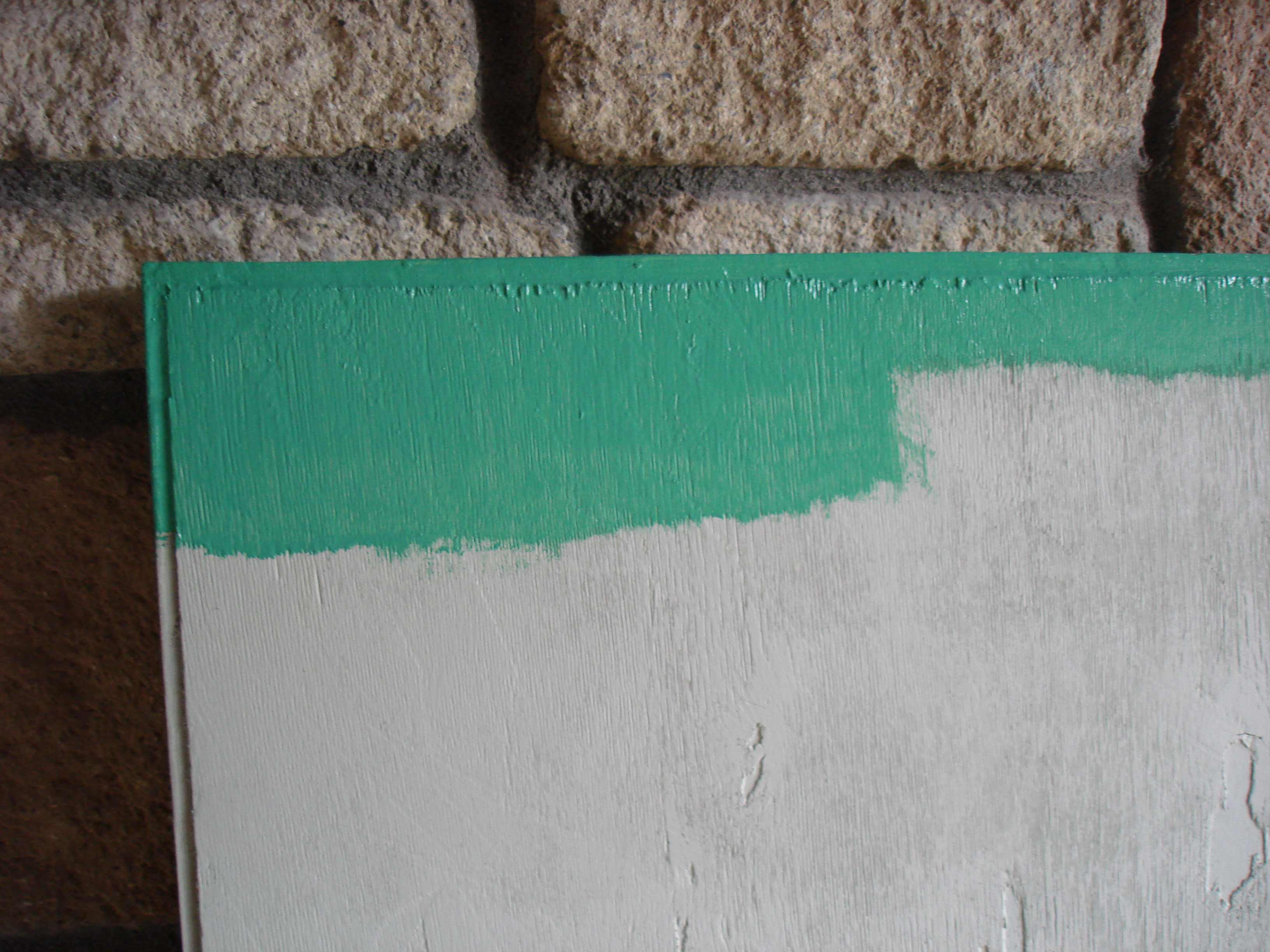 Progress: Shop Back Door