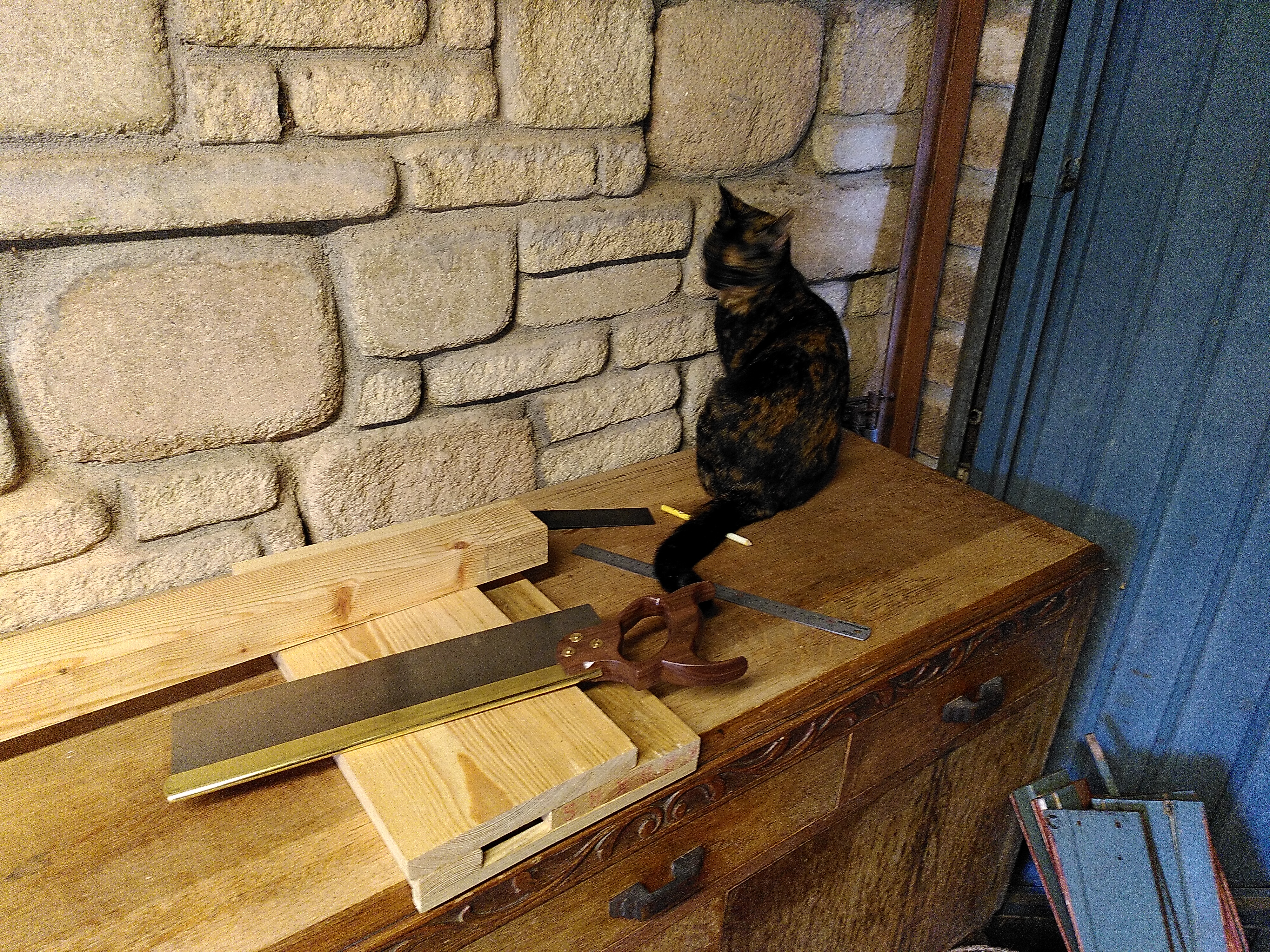 Progress: Shop Back Door