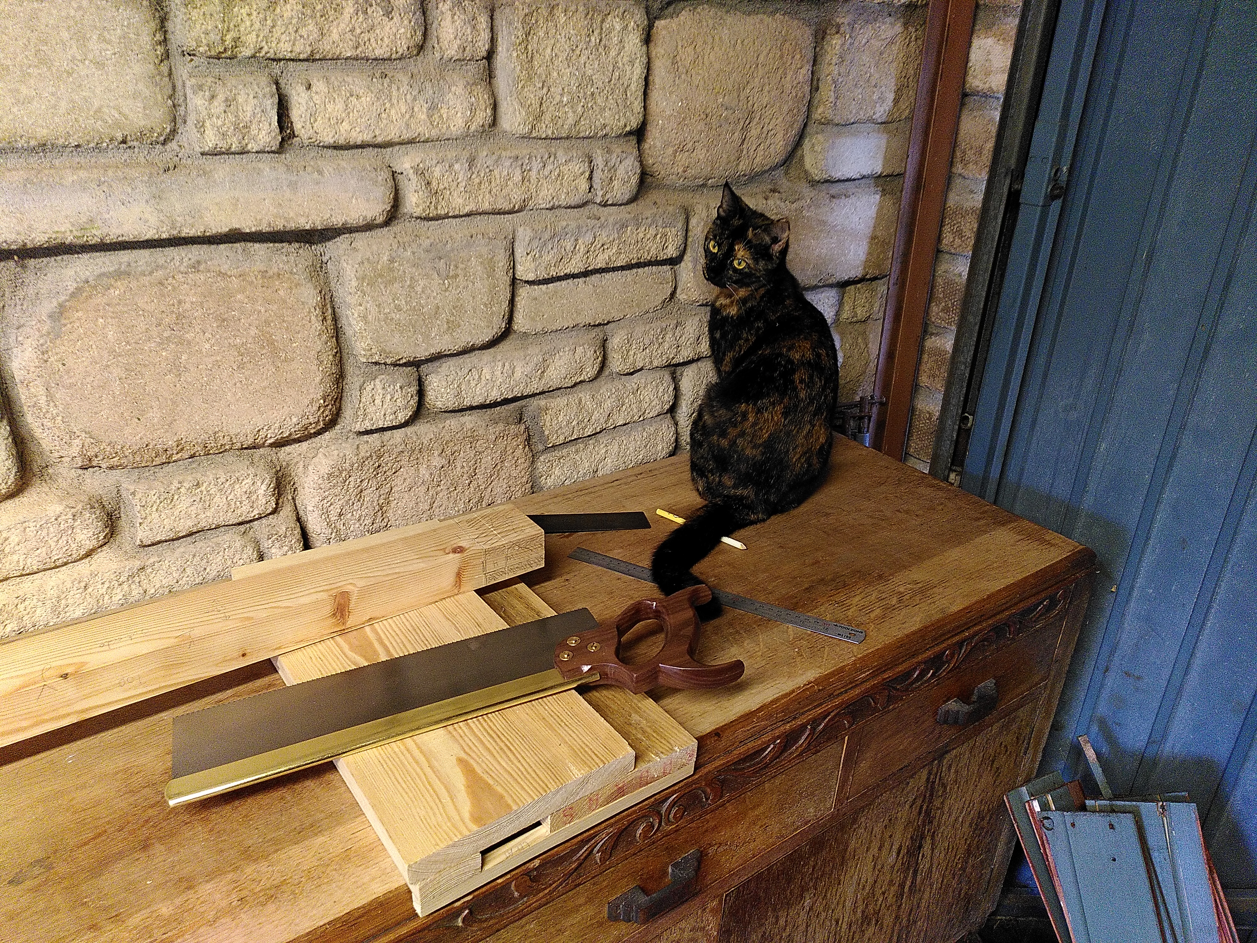 Progress: Shop Back Door