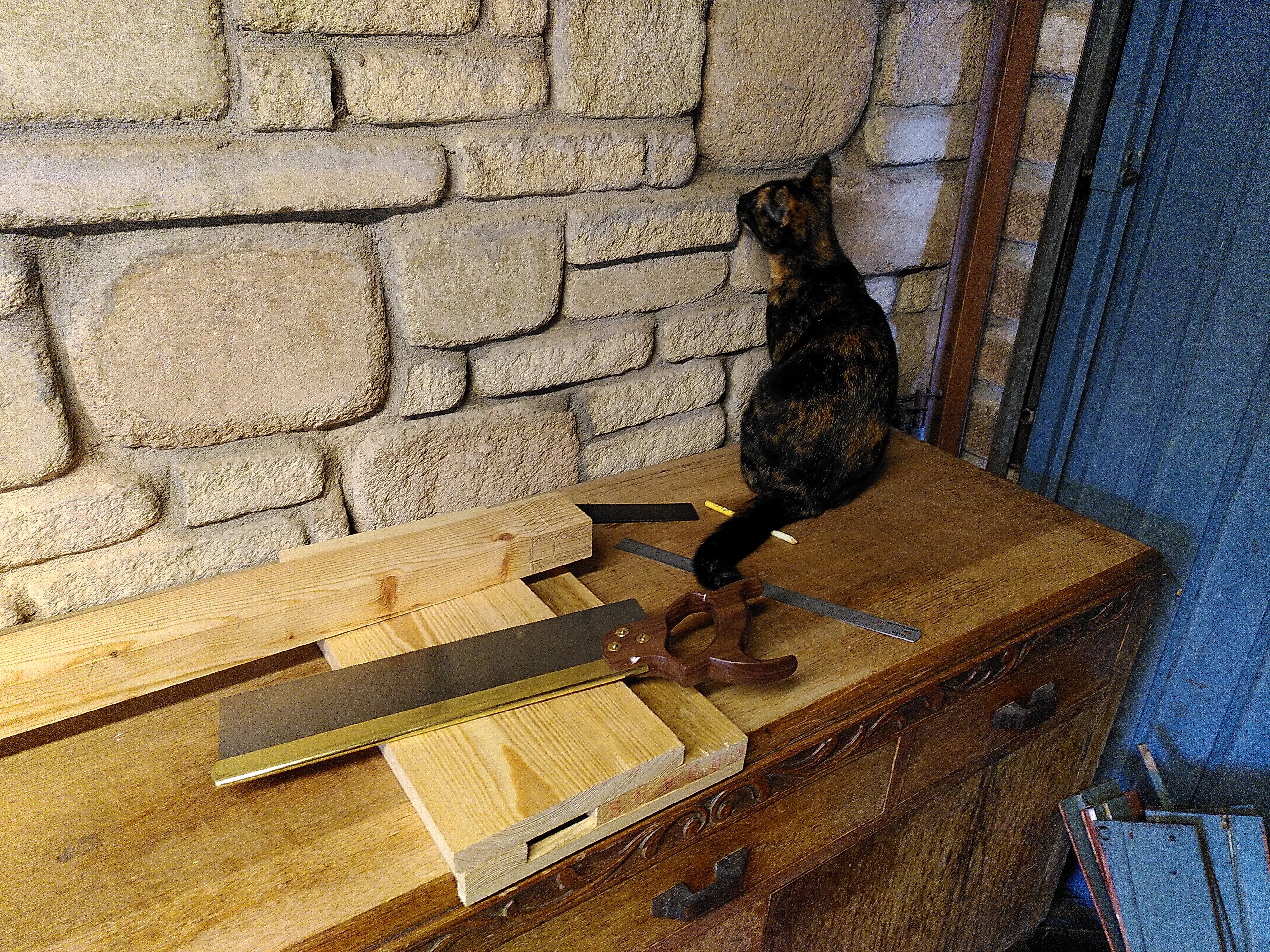 Progress: Shop Back Door