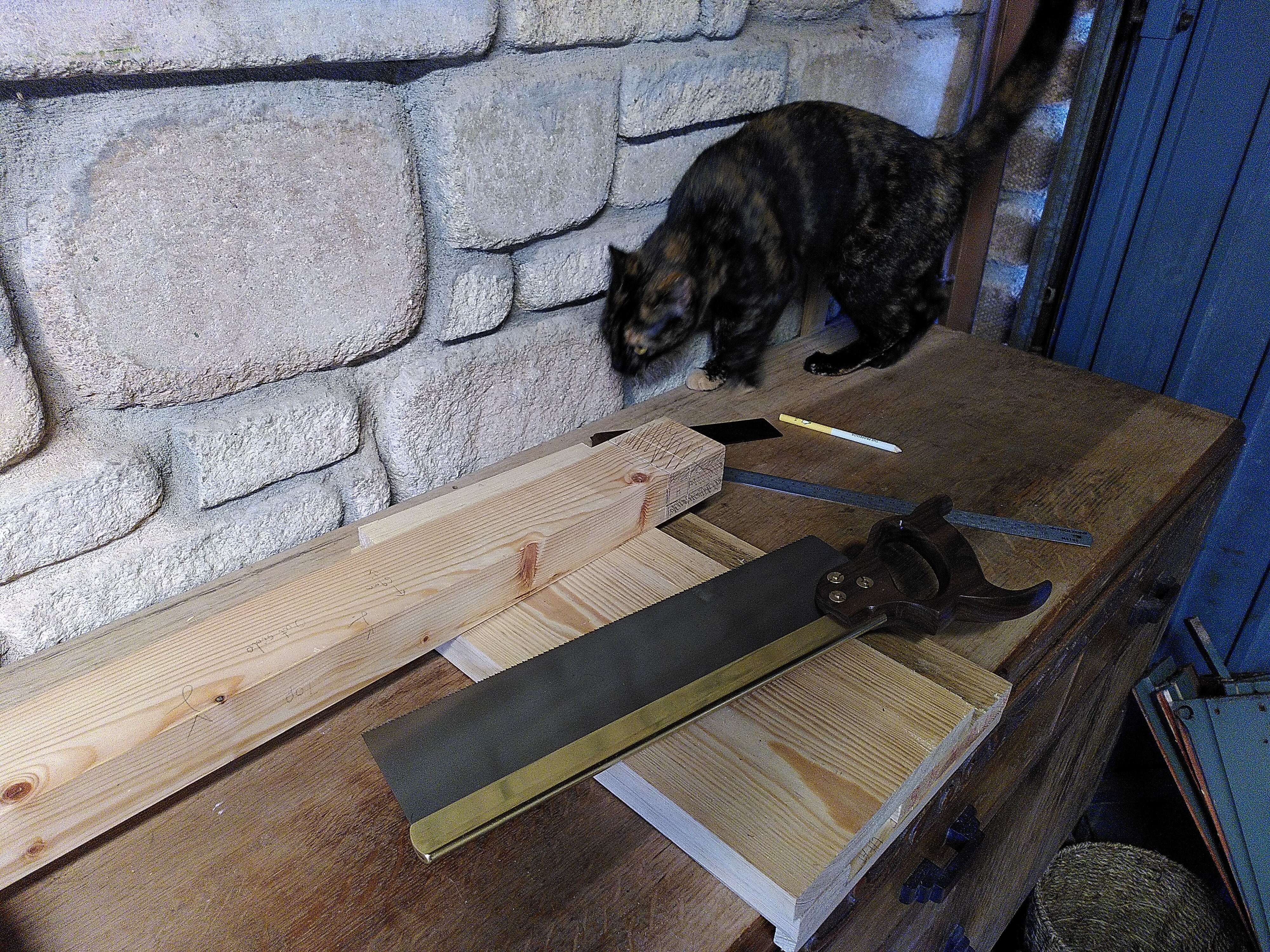 Progress: Shop Back Door