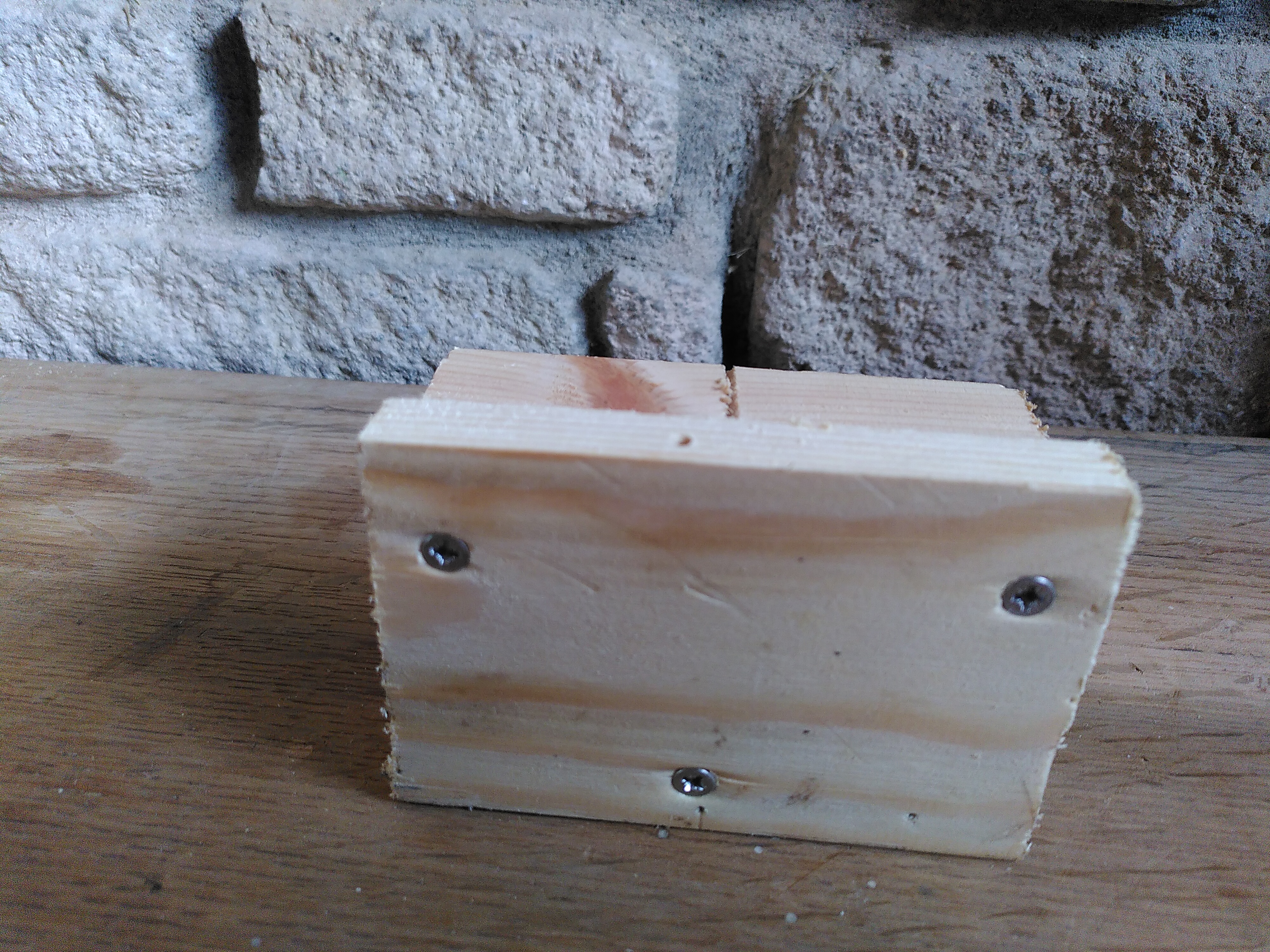 Progress: Shop Back Door