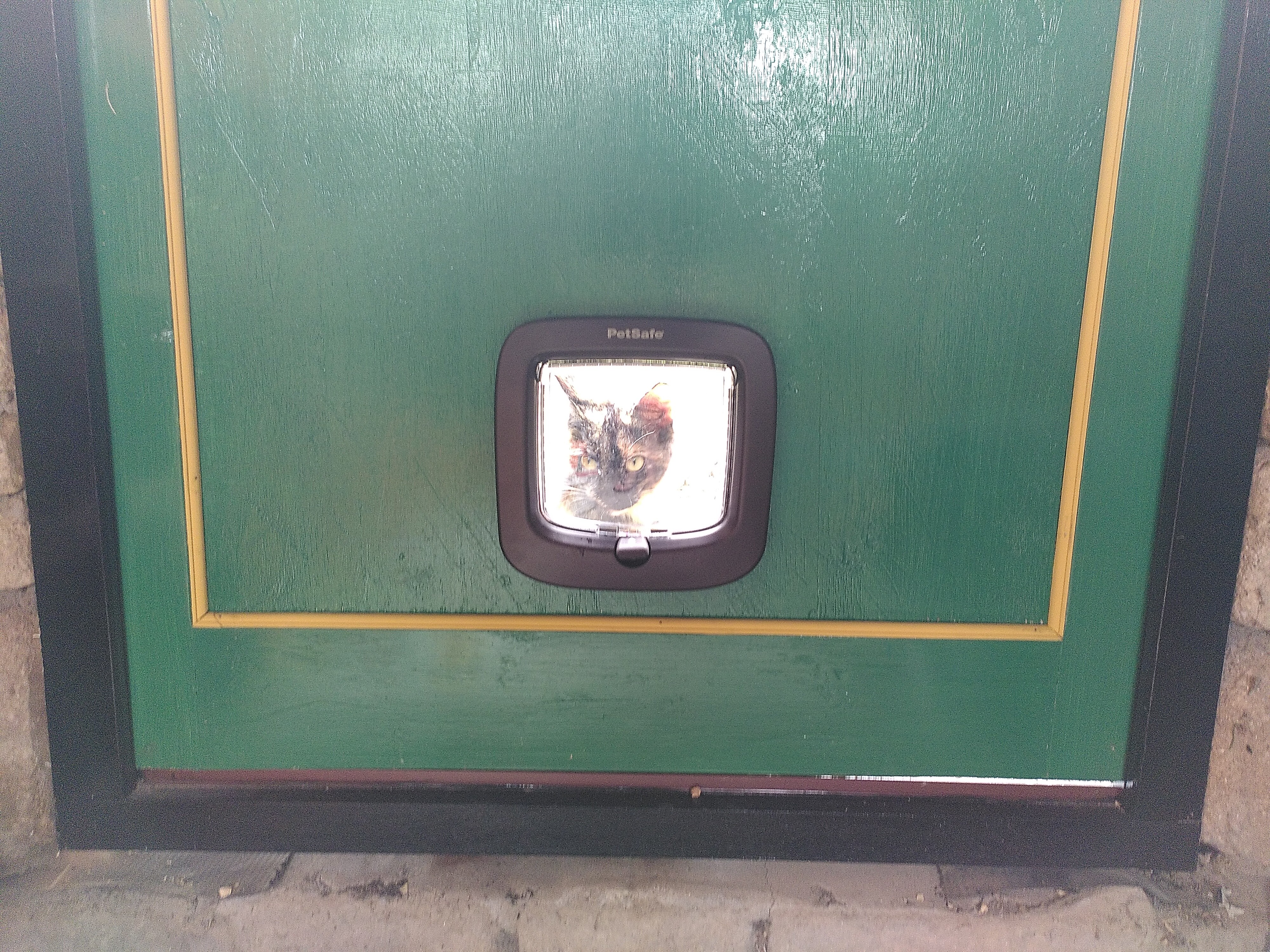 Shop Back Door