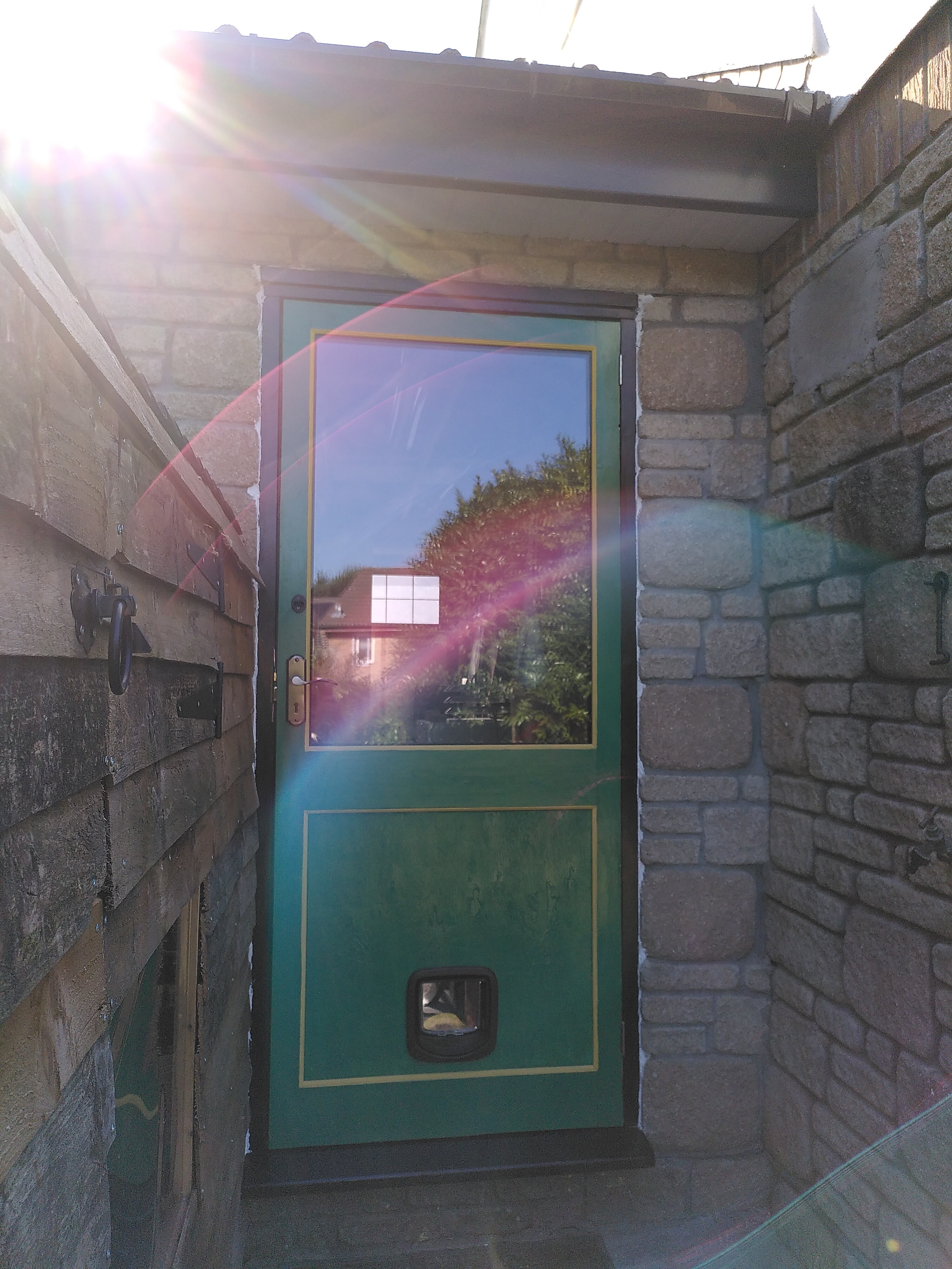 Shop Back Door