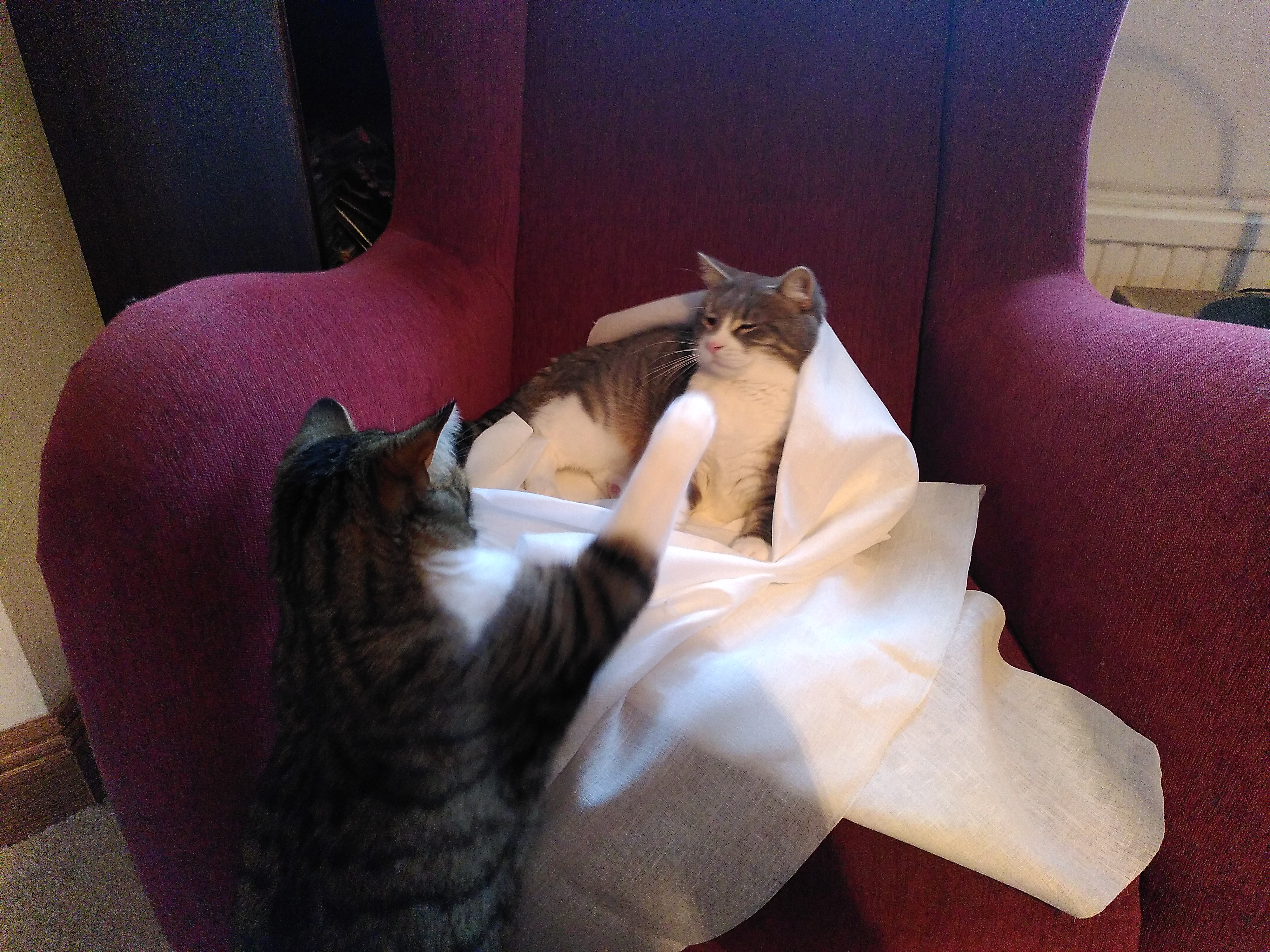 Progress: Smock